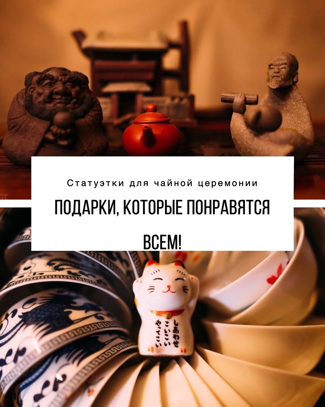 Чачуны: как выбрать чайного питомца с характером