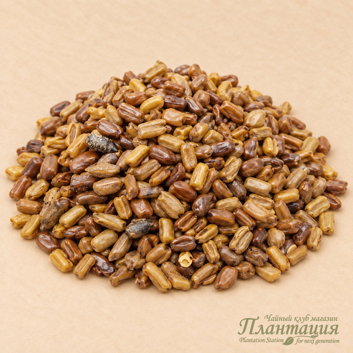 Кассия Тора, китайские кофейные бобы