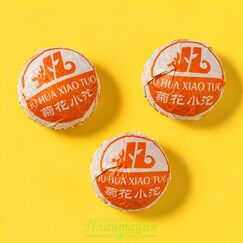 Шу Пуэр с Белой Хризантемой, точа