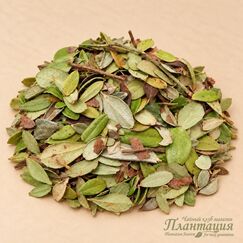 Брусники Лист
