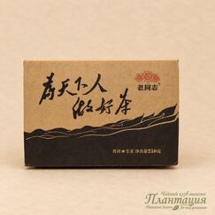 Шэн Пуэр фаб. Хайвань 2017г, ча чжуань 250 гр