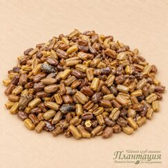 Кассия Тора, китайские кофейные бобы