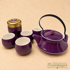 20 Чайный Набор Баклажан Чайник, 4 стакана, термос