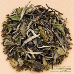Монастырский Бай Ча, белый чай