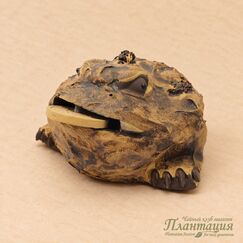 Фигурка Древесная Трехлапая Жаба, глина