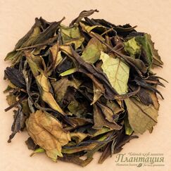 Копченый Бай Ча, белый чай
