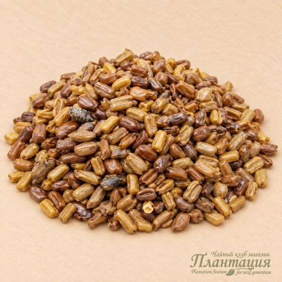 Кассия Тора, китайские кофейные бобы