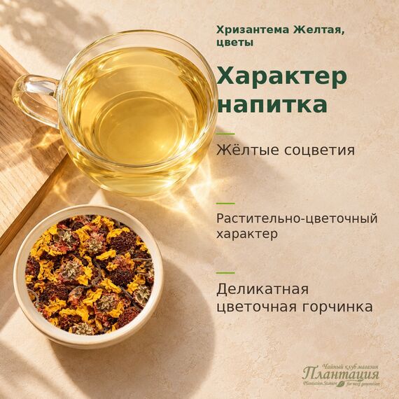 Хризантема Желтая, цветы — Характер напитка