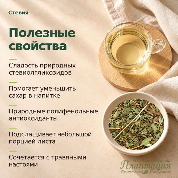Стевия — Полезные свойства