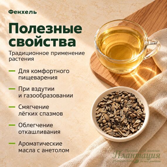 Фенхель — Полезные свойства
