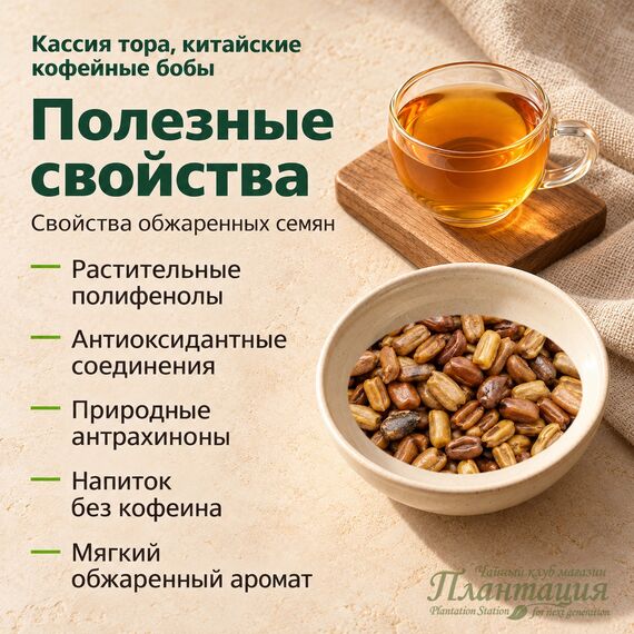 Кассия Тора, китайские кофейные бобы — Полезные свойства