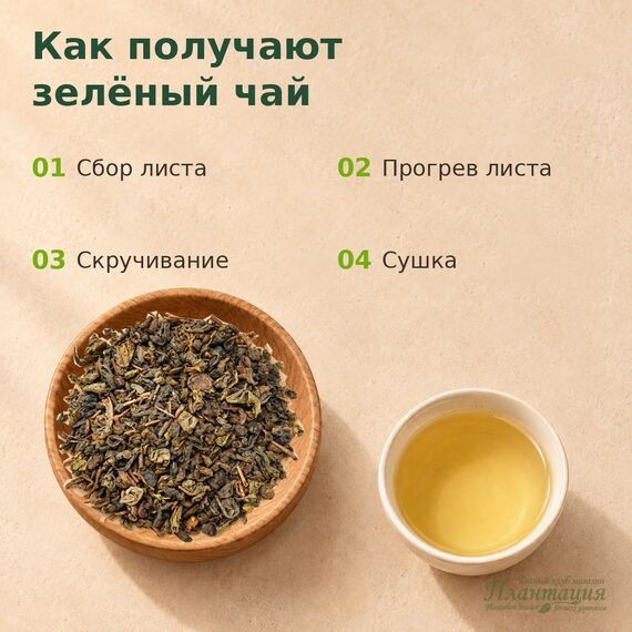 Зеленый Соу Сеп, зеленый чай — Технология производства