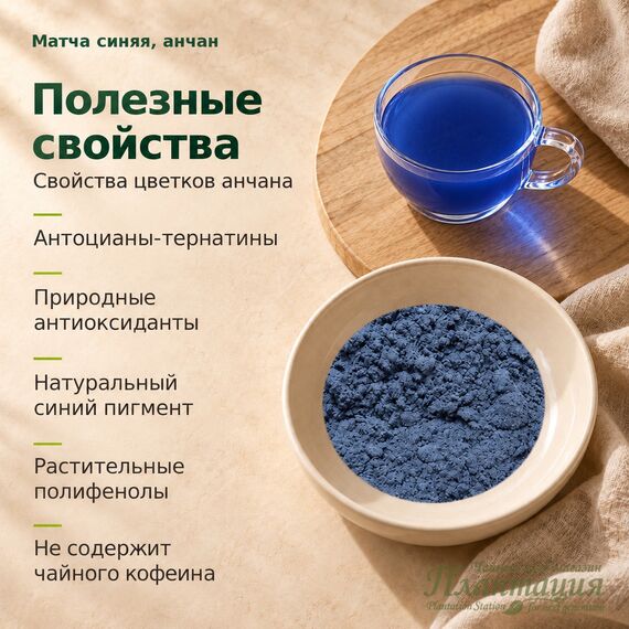 Матча Синяя, анчан — Полезные свойства
