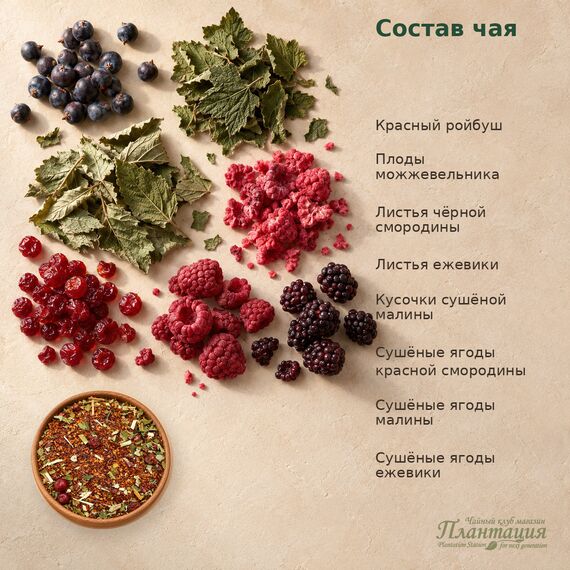 Ройбуш Ягодный — Состав