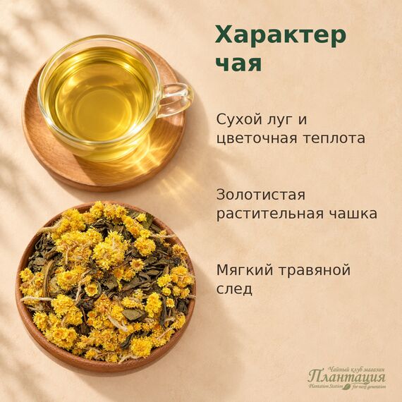 Зеленый с Бессмертником, зеленый чай — Особенности чая
