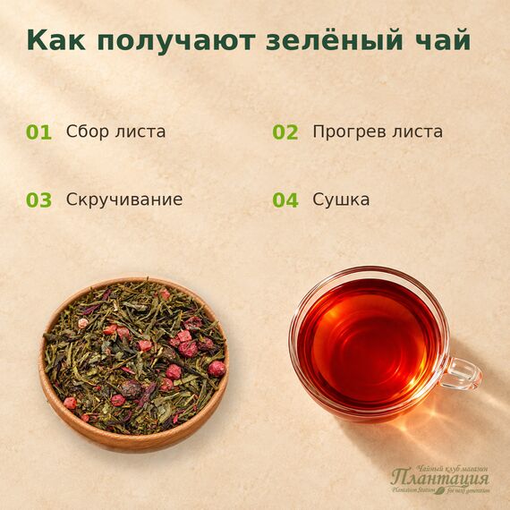 Вишенка, зеленый чай — Технология производства
