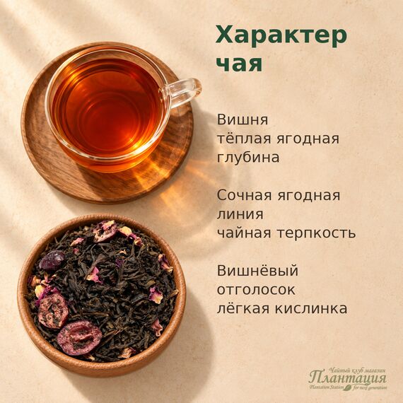 Дикая Вишня, черный чай — Особенности чая
