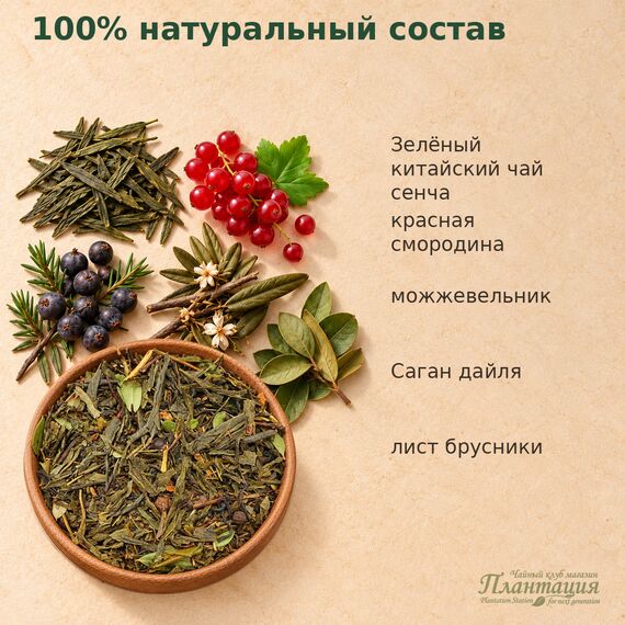 Таежный Сбор, зеленый чай — Состав