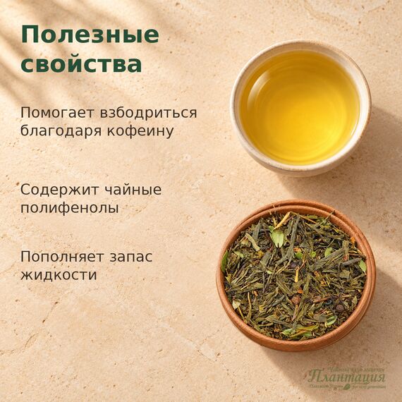 Таежный Сбор, зеленый чай — Полезные свойства