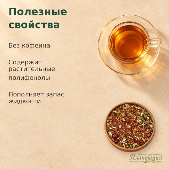 Ройбуш Ягодный — Полезные свойства