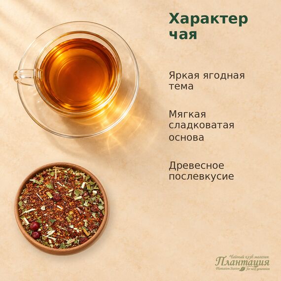 Ройбуш Ягодный — Особенности чая