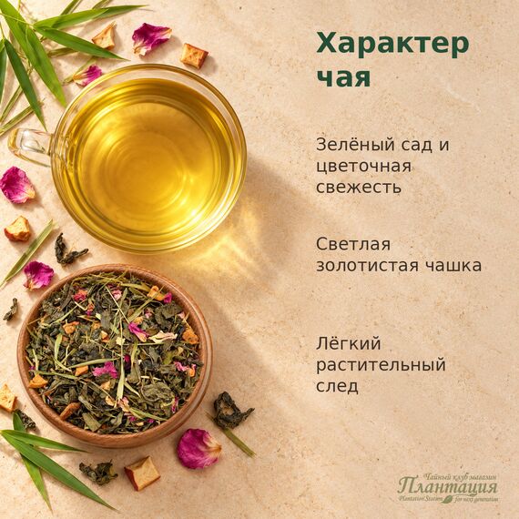 Свежесть Бамбука, зеленый чай — Особенности чая