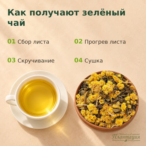 Зеленый с Бессмертником, зеленый чай — Технология производства
