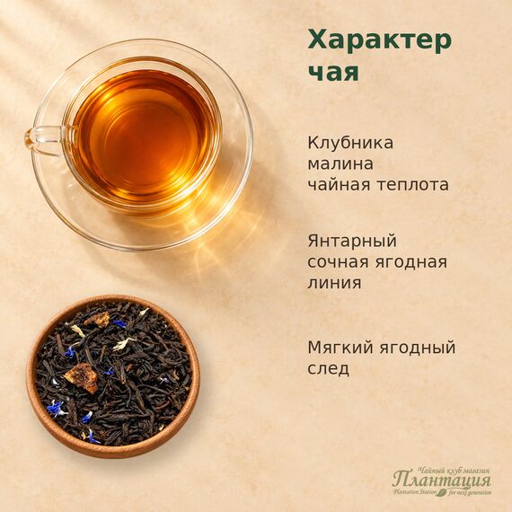 Брызги Шампанского, черный чай — Особенности чая