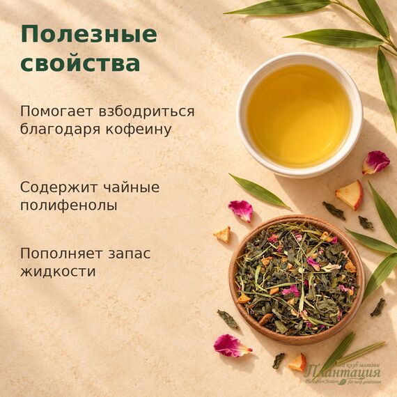 Свежесть Бамбука, зеленый чай — Полезные свойства