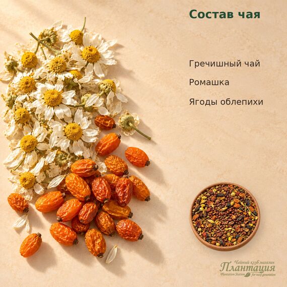 Ку Цяо (Гречишный) Ромашка-Облепиха — Состав