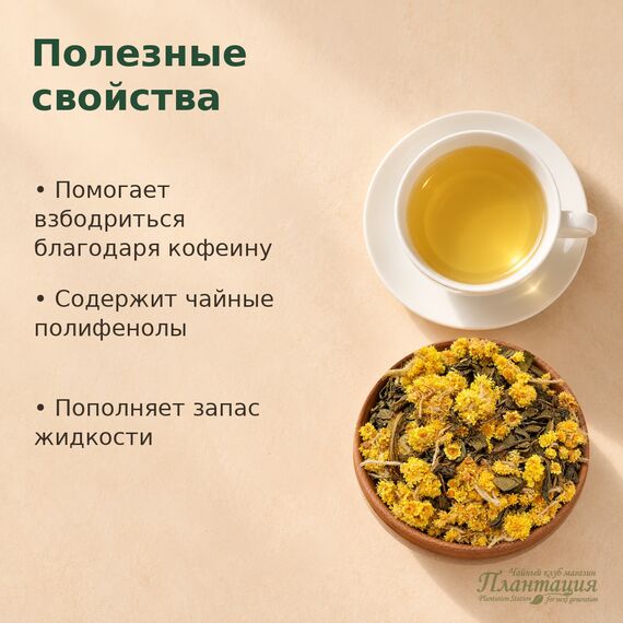 Зеленый с Бессмертником, зеленый чай — Полезные свойства