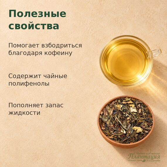 Сандаловый Соу Сеп, зеленый чай — Полезные свойства