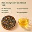 Анютины Глазки, зеленый чай — Технология производства
