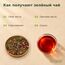 Вишенка, зеленый чай — Технология производства