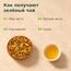 Зеленый Чай с Куркумой — Технология производства